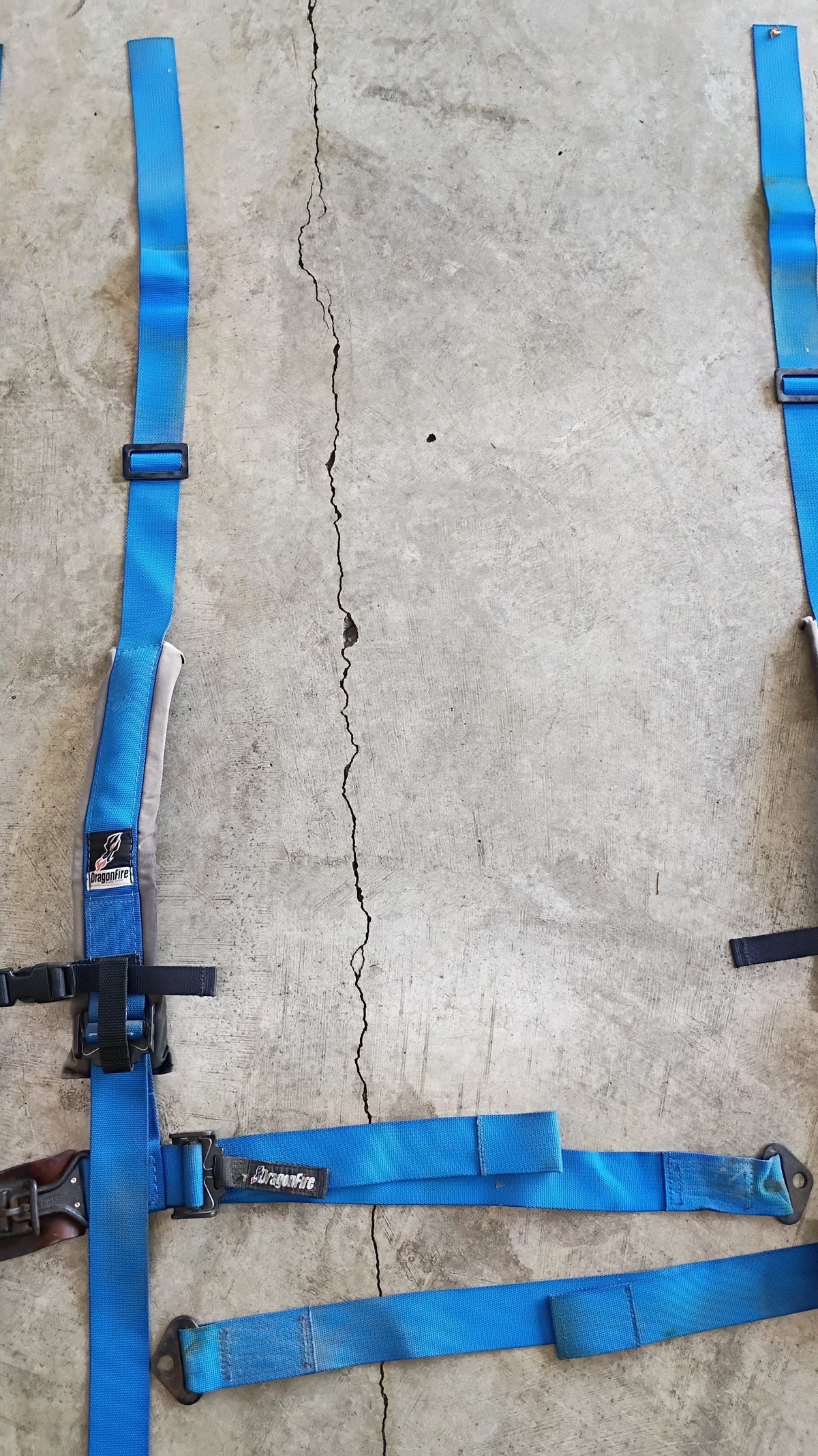 Used DragonFire 3-Inch Padded 4-Point H-Style Harness Pair - Blue