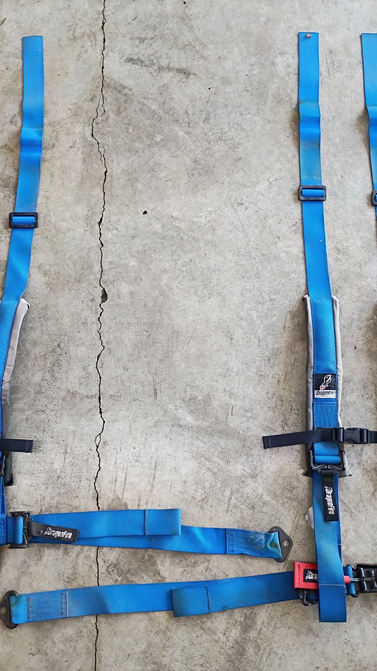 Used DragonFire 3-Inch Padded 4-Point H-Style Harness Pair - Blue