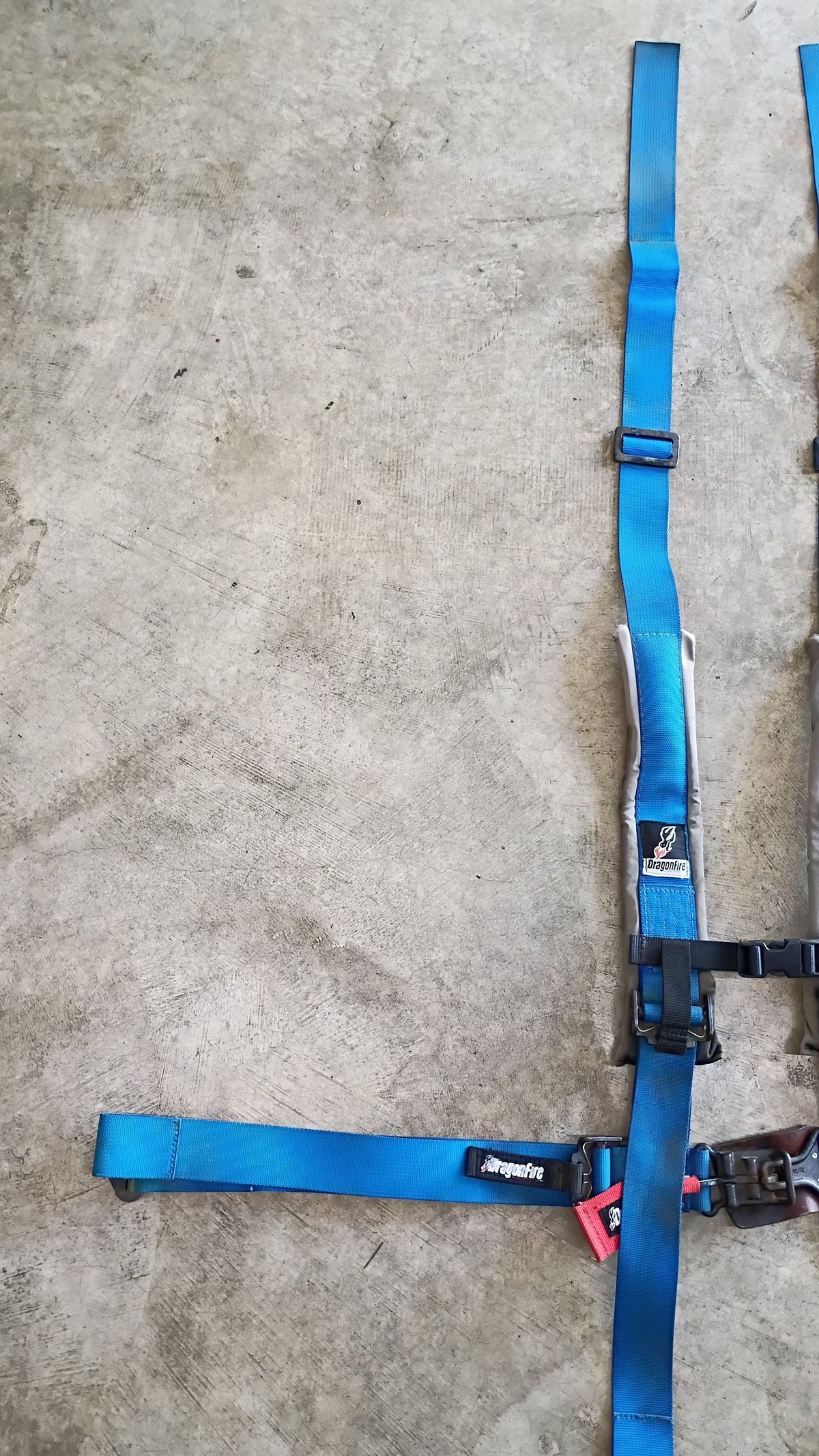 Used DragonFire 3-Inch Padded 4-Point H-Style Harness Pair - Blue