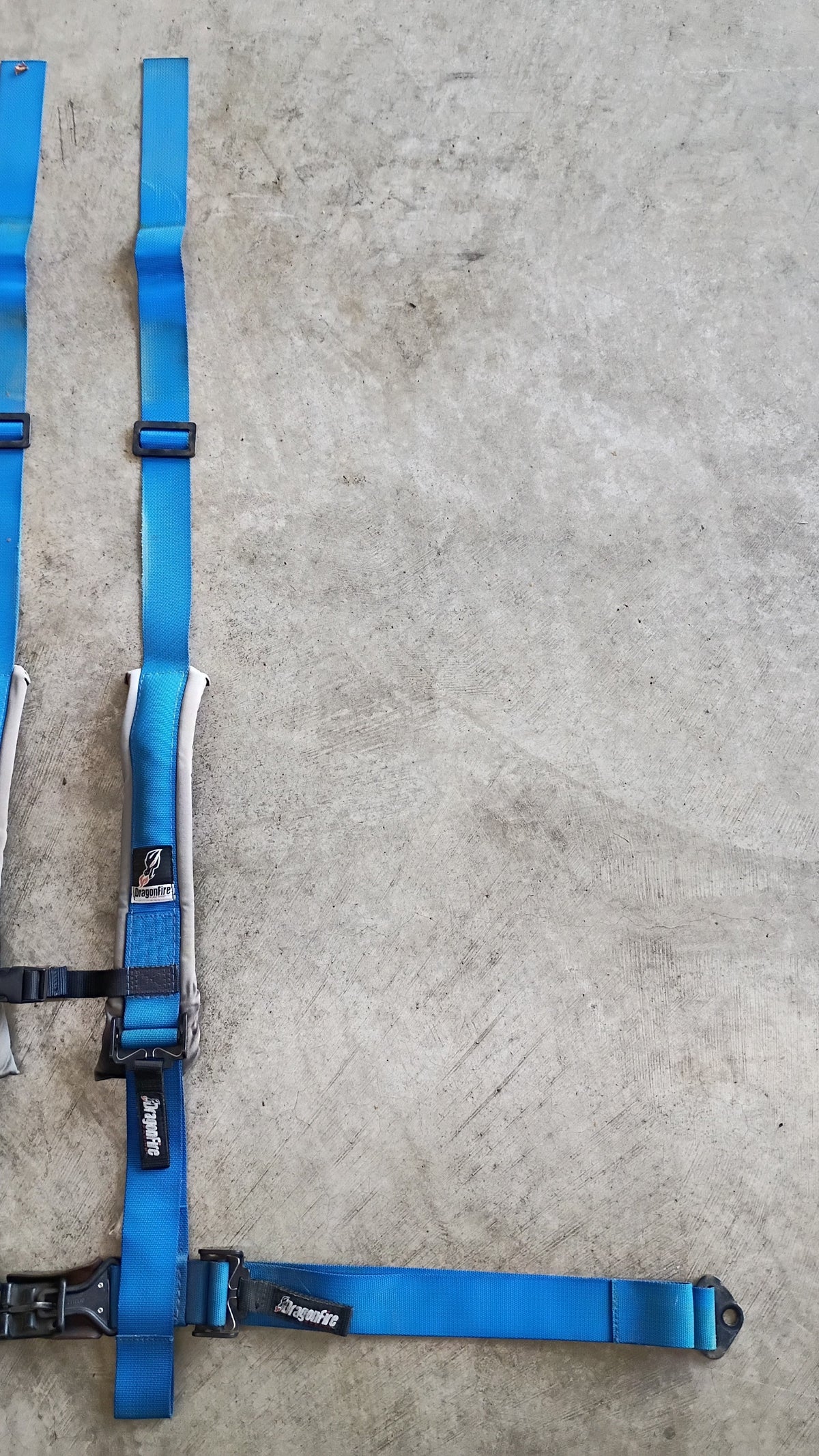 Used DragonFire 3-Inch Padded 4-Point H-Style Harness Pair - Blue